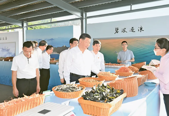 《求是》发表习近平重要文章《促进高质量充分就业》
